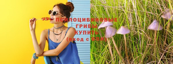 альфа пвп Баксан