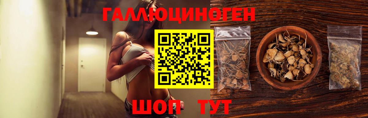 Псилоцибиновые грибы мицелий Белогорск